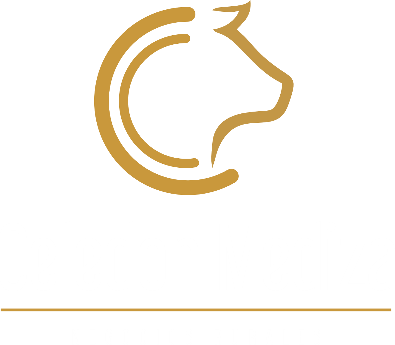 Celedón Mediza